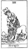 Tarot Talk Strength Tarot Talk