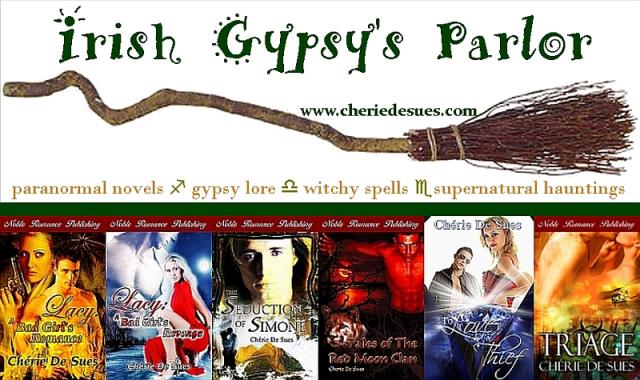banner irish gypsy novels GypsyWytch
