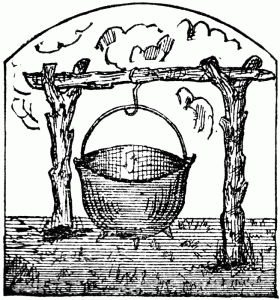 kettle 280x300 Oak corns and Apple thorns