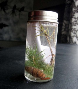 winter spell bottle 264x300 Wicked Wonderful Witchery
