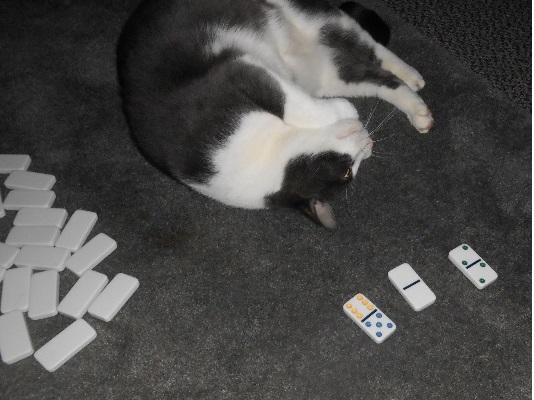 dominoes