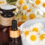 chamomile